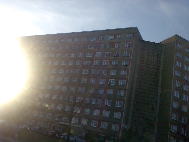 bild015.jpg